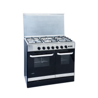 Nasgas Cooking Range (DG-534)