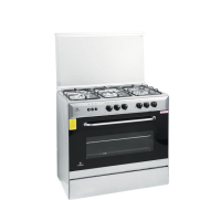 Nasgas Cooking Range (EXC-534)