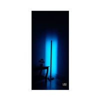 Shahab Interiors RGB LED Corner Lamp Multi