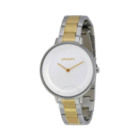 Skagen Ditte Women's Watch Two-Tone (SKW2339)