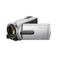 Sony Handycam Silver (DCR-SX21)