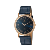 Titan Analog Men's Watch Blue (1595WL02)