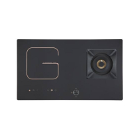 Xpert Gas & Electric Stove (XGT2G/E)