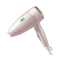 Anex Deluxe Hair Dryer (AG-7005)
