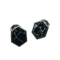 Zed Eye Shattered Dreams Earrings For Women (ISE012)
