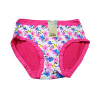 Zehra Collection Fancy Stretchable Panty For Women