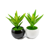 ZS Store Artificial Plant Bonsai Pot Ceramic - Pack of 2