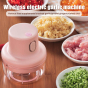 iShopping - Ferozi Traders Mini Electric Garlic Food Chopper