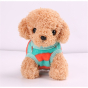 iShopping - Eizy Buy Winter Vest For Small Dogs