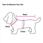 iShopping - Eizy Buy Winter Vest For Small Dogs