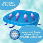 iShopping - Muzamil Store Egg Sitter Seat Cushion
