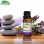 iShopping - Chiltan Pure Lavender Essential Oil