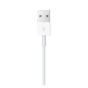 iShopping - Apple Watch Magnetic Charging Cable 2m (MJVX2)