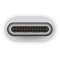 iShopping - Apple USB-C to USB Adapter (MJ1M2)