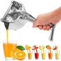 iShopping - G-Mart Stainless Steel Manual Hand Press Juicer Squeezer