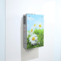 iShopping - Dextro Instant Gas Water Heater Spring - 8LTR