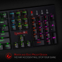 iShopping - Redragon SURARA RGB Mechanical Gaming Keyboard (K582-PRO)