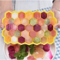 iShopping - Promax Silicone Ice Cube Tray