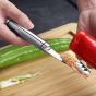 iShopping - Promax Stainless Steel Seed Remover