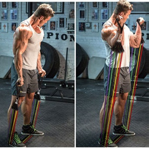 Shop Zone Gym Extreme Power Resistance Bands