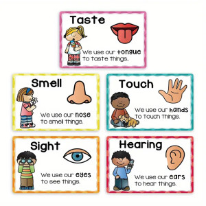 Artisticvalley Bundle Five Senses Flashcards - 5pcs