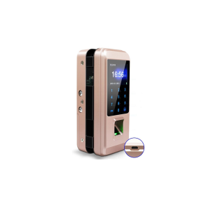 Link Corporation Biometric Lock System