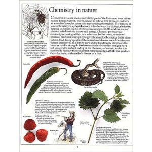 Chemistry DK Eyewitness Book