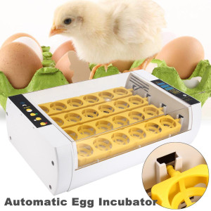 VIP Deals 24 Egg Digital Incubator Hatchery Machine