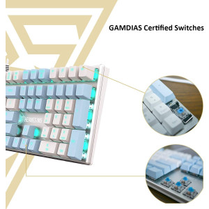 Gamdias Hermes Mechanical Gaming Keyboard Blue Key Switch (M5)