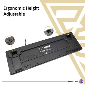 Gamdias Hermes Optical Mechanical Gaming Keyboard Blue Key Switch (P2A RGB)