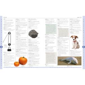 The Quality Store Merriam-Webster Children’s Dictionary Book