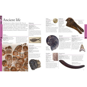 Geography A Children’s Encyclopedia Book