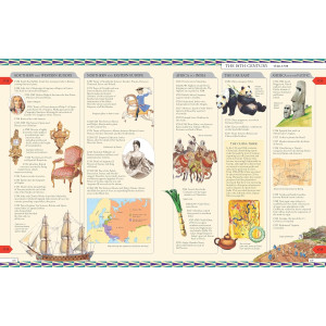 Timelines of World History Book: A Gorgeously Illustrated Guide