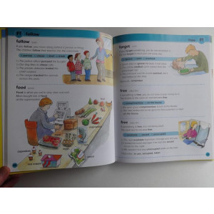 The Quality Store Childrens Illustrated Thesaurus Book