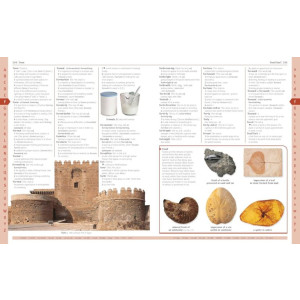 The Quality Store Merriam-Webster Children’s Dictionary Book