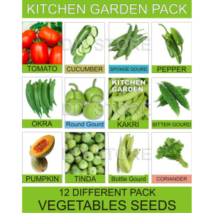 DIY Store Vegetables Gardening Seeds Pack of 12