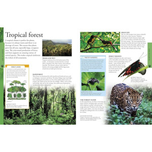 Geography A Children’s Encyclopedia Book