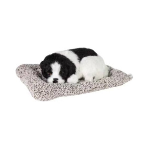 Muzamil Store Plush Dogs Toy For kids - 1Pcs