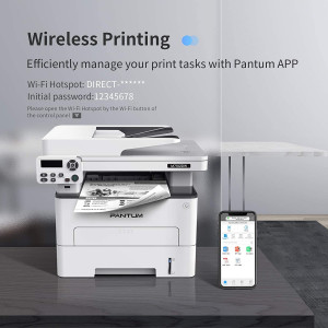 Pantum 3 In 1 Laser Wireless Printer (M7102DW)