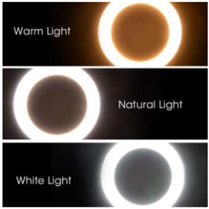 Best Buy Ring Light 26cm LED For Photography & Video Tiktok