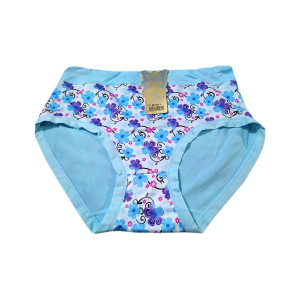 Zehra Collection Fancy Stretchable Panty For Women