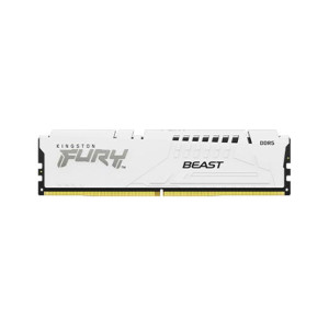 Kingston FURY 5600MHz DDR5 UDIMM Desktop Memory