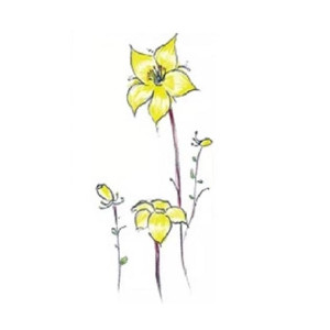 G-Mart Yellow Blossom Flower Temporary Tattoo Sticker