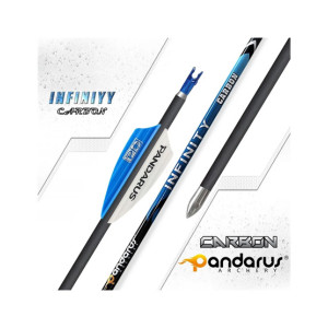 Silk Road Traders Infinity 4.2mm Carbon Aluminum Hardened Easy Cut Tip Competitive Shooting Arrows - Spine 700 12 PCS