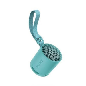 Sony Portable Wireless Speaker (SRS-XB100)