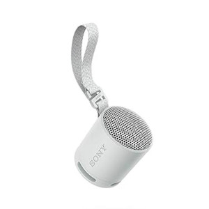 Sony Portable Wireless Speaker (SRS-XB100)