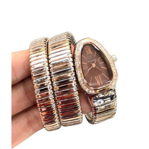 Charming Closet Snake Style Chain Women Watch