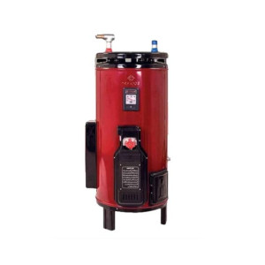 Nasgas Gas Geyser 20 Gallon (DEG-2020)