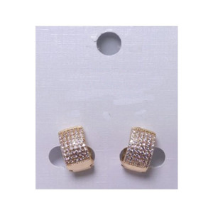 Desire Fashion Designer Earring For Women (8230084)