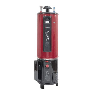 Ditron 25 Gallon Electric Plus Gas Geyser